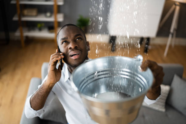 Best Ceiling water damage repair  in Baltimore, MD