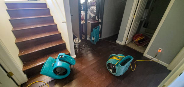 Best Flooded house restoration  in Baltimore, MD