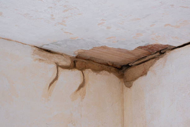Best Mold removal after water damage  in Baltimore, MD