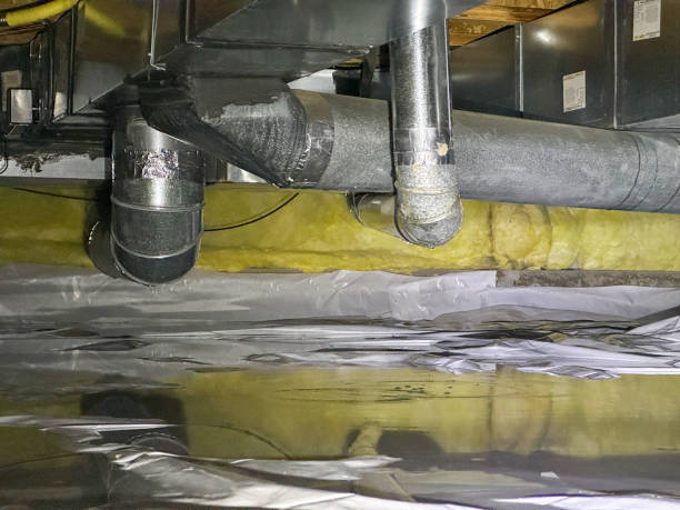 Best Flood damage cleanup  in Baltimore, MD