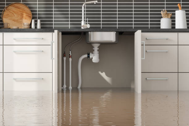 Best Flooded house restoration  in Baltimore, MD