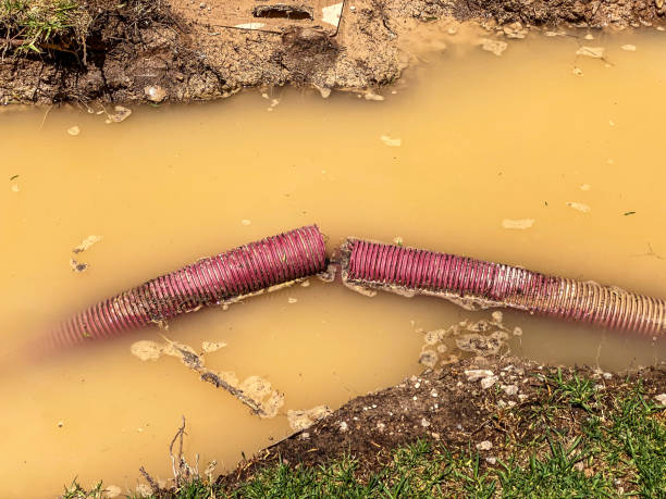 Best Carpet water damage restoration  in Baltimore, MD
